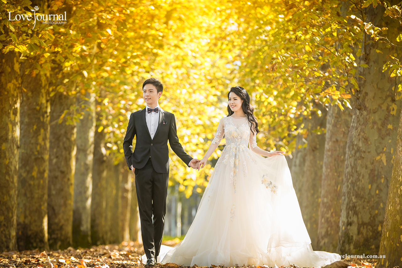 Fitzroy Gardens婚纱摄影, 墨尔本菲兹洛花园婚纱摄影 