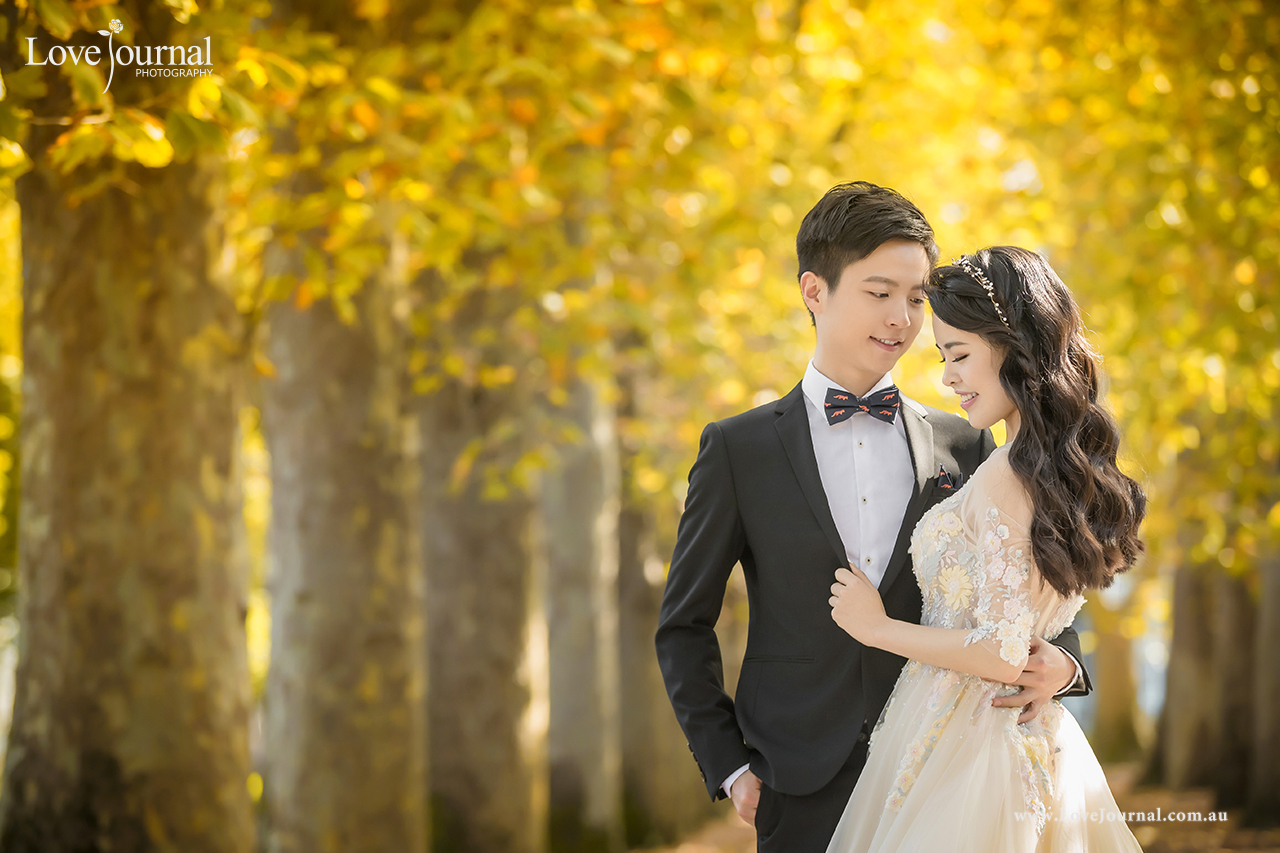 Fitzroy Gardens婚纱摄影, 墨尔本菲兹洛花园婚纱摄影 
