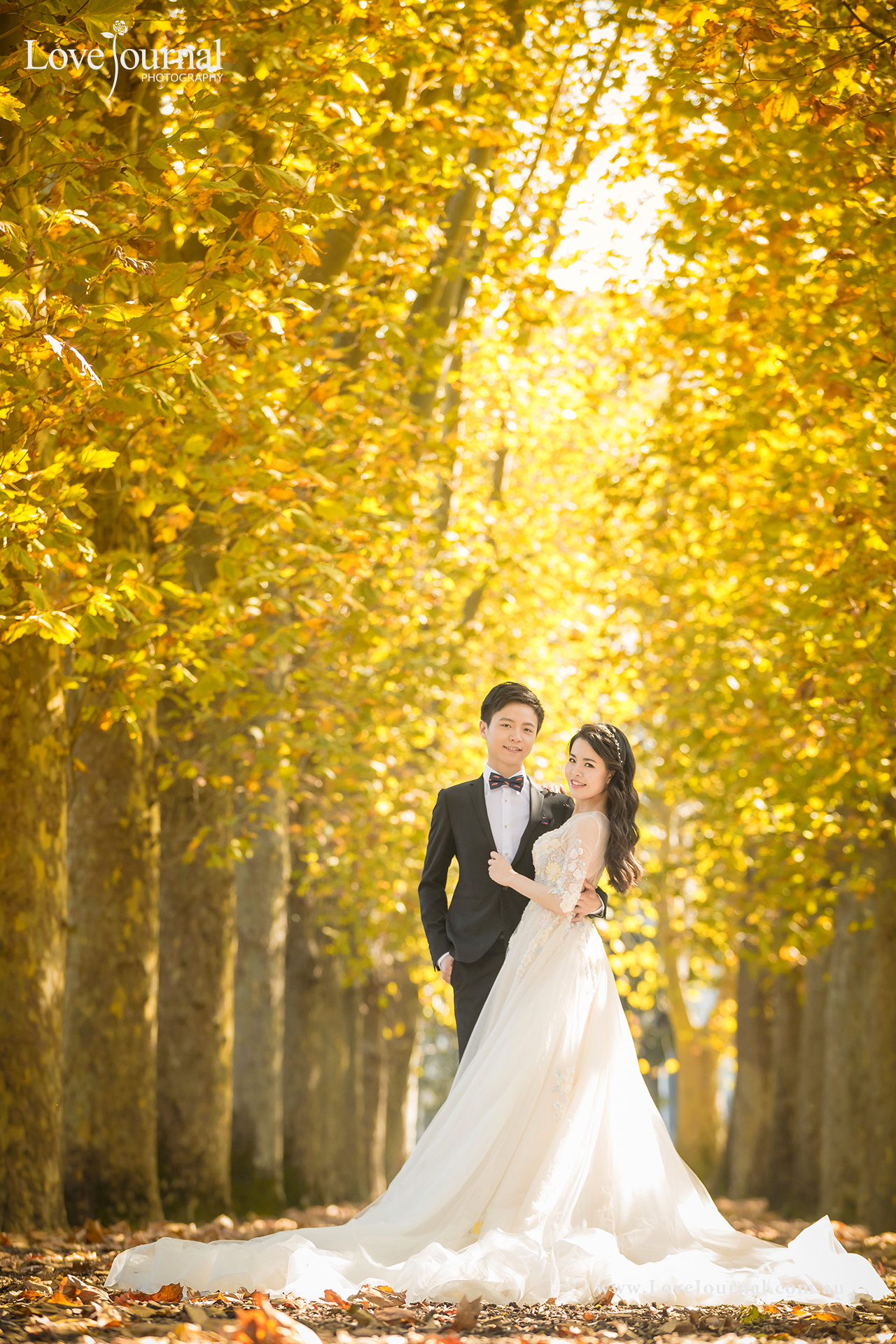 Fitzroy Gardens婚纱摄影, 墨尔本菲兹洛花园婚纱摄影 