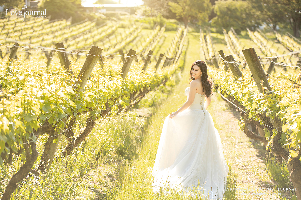 墨尔本Mornington婚纱摄影