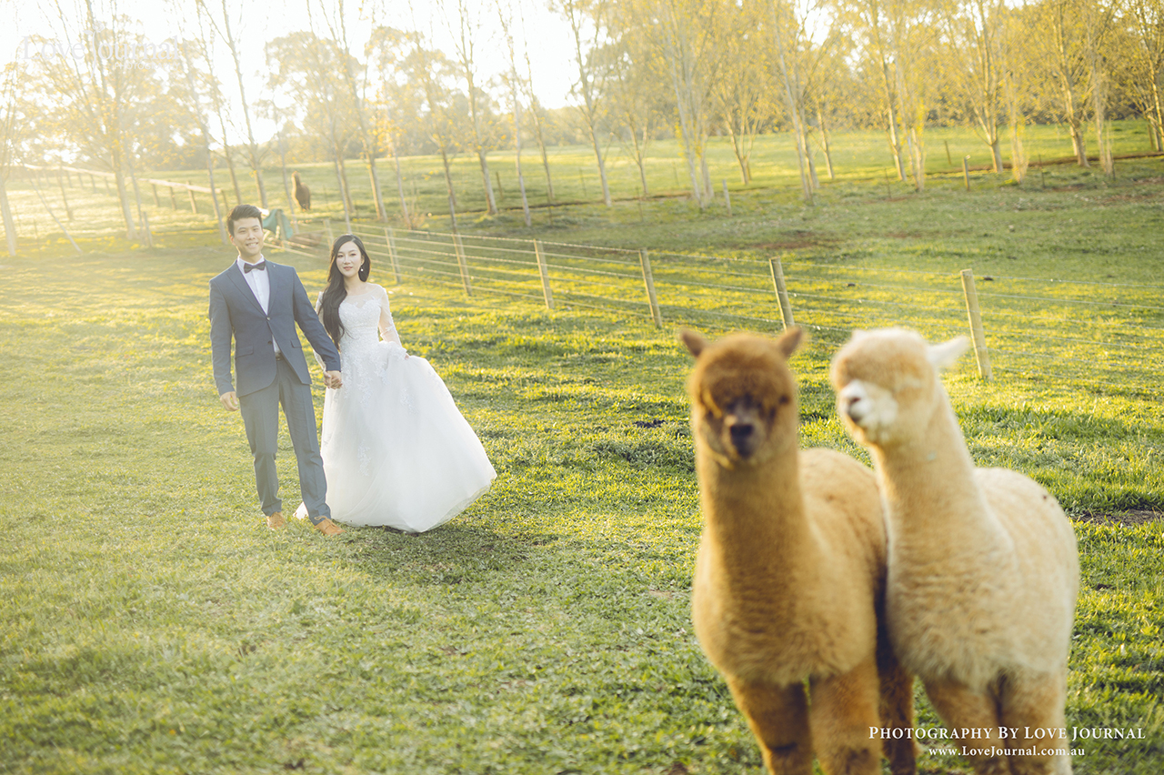 墨尔本私人庄园婚纱摄影