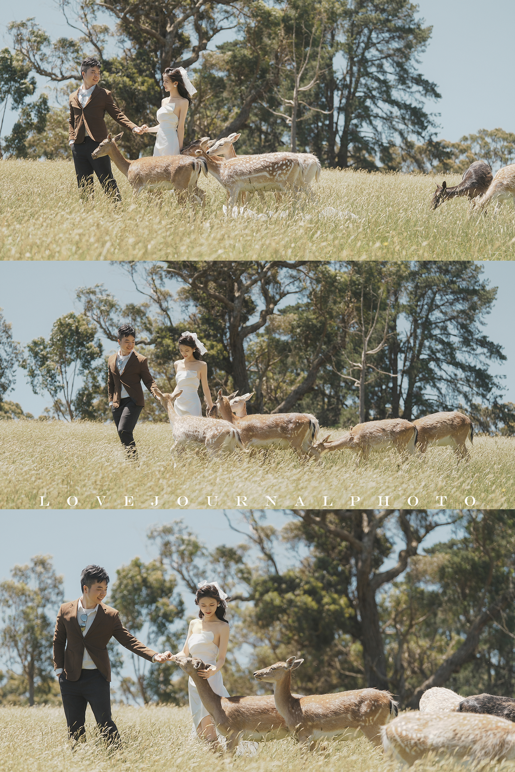 Gum-gully-farm-Deer-farm-pre-wedding-photography