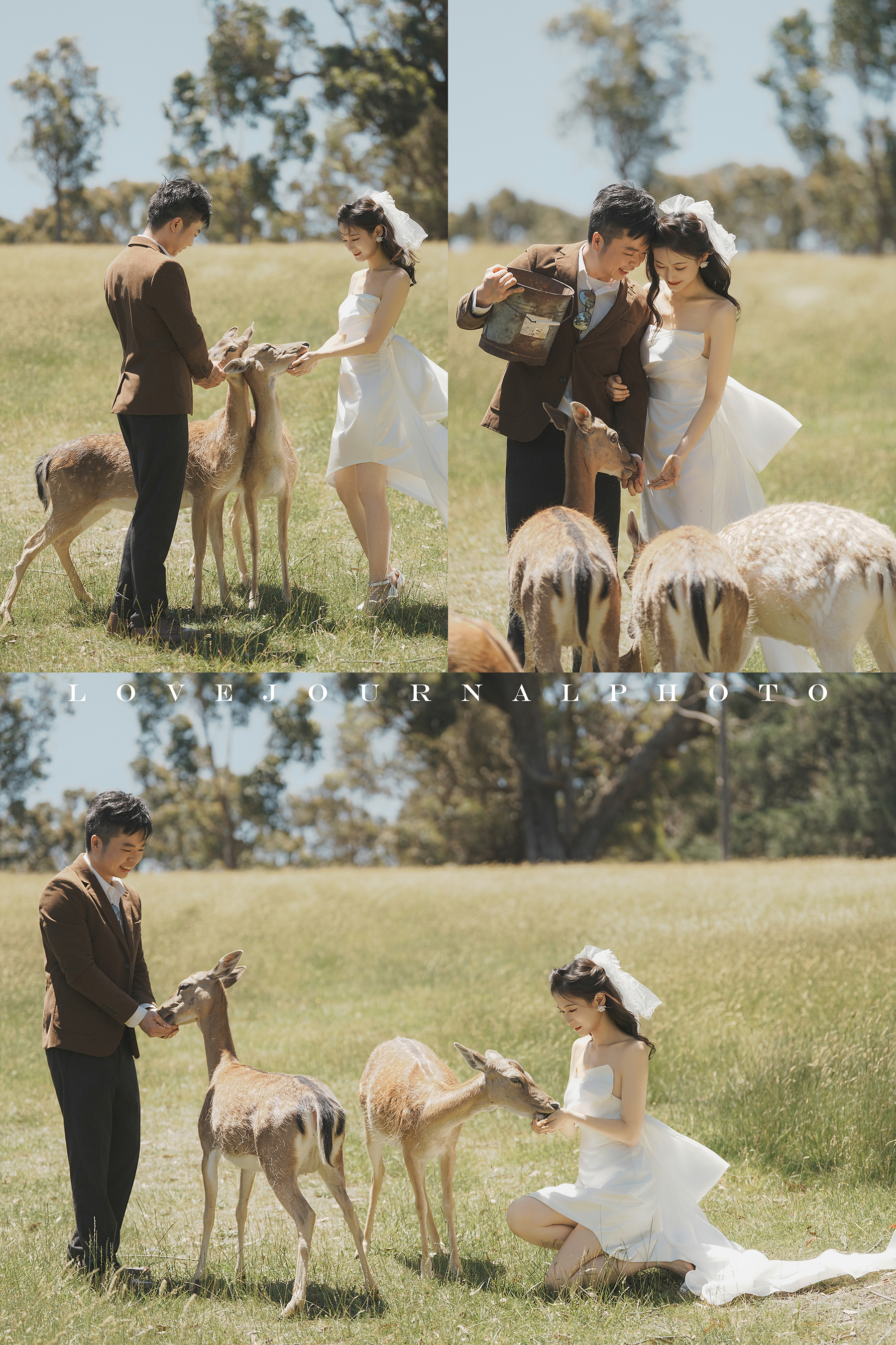 Gum-gully-farm-Deer-farm-pre-wedding-photography