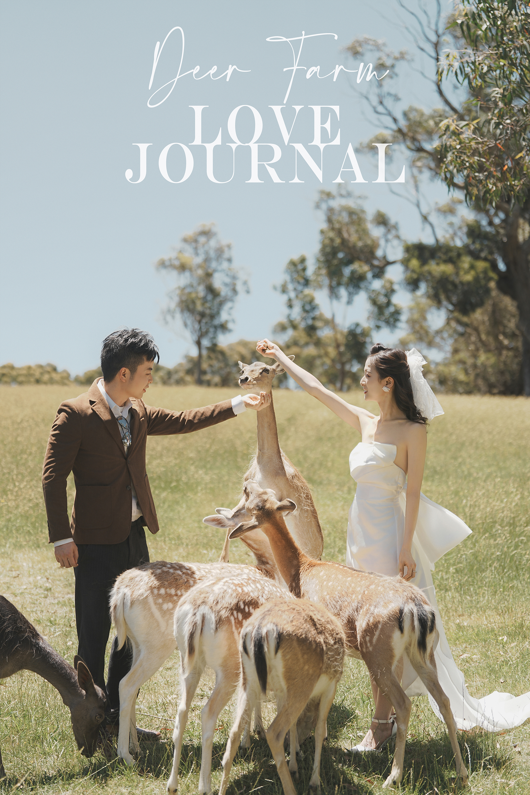 Gum-gully-farm-Deer-farm-pre-wedding-photography