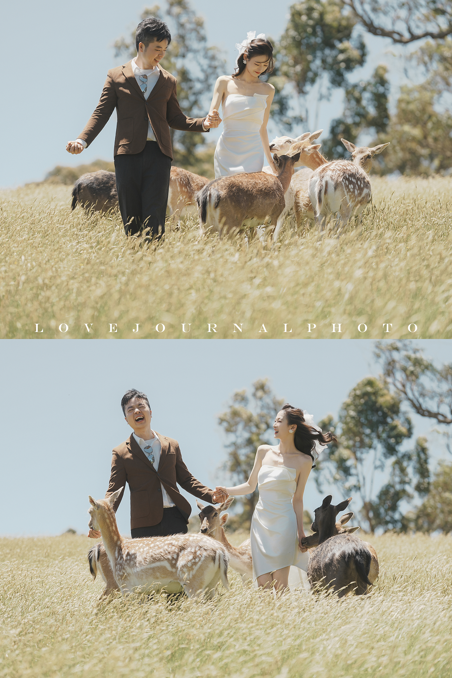 Gum-gully-farm-Deer-farm-pre-wedding-photography