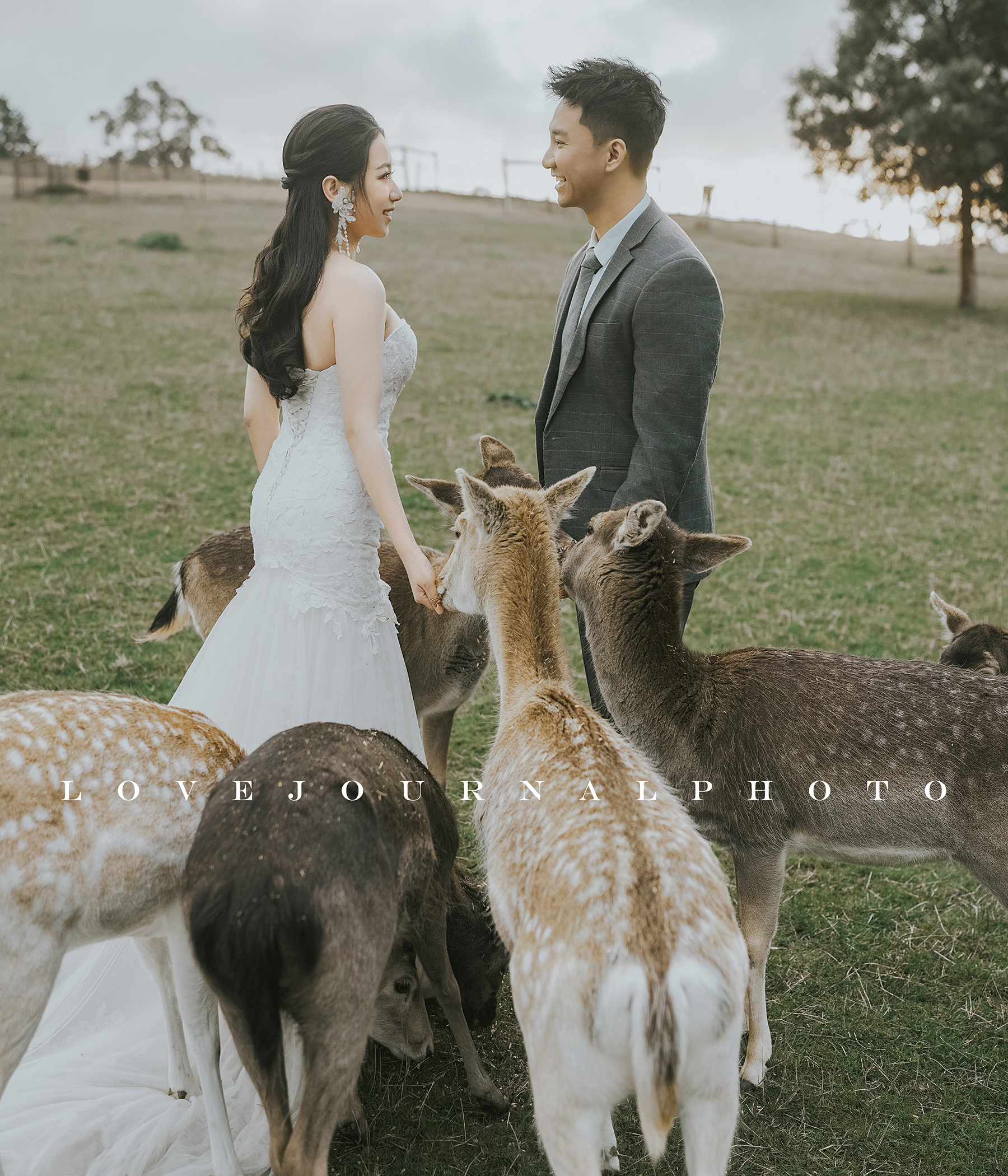 Gum-gully-farm-Deer-farm-pre-wedding-photography