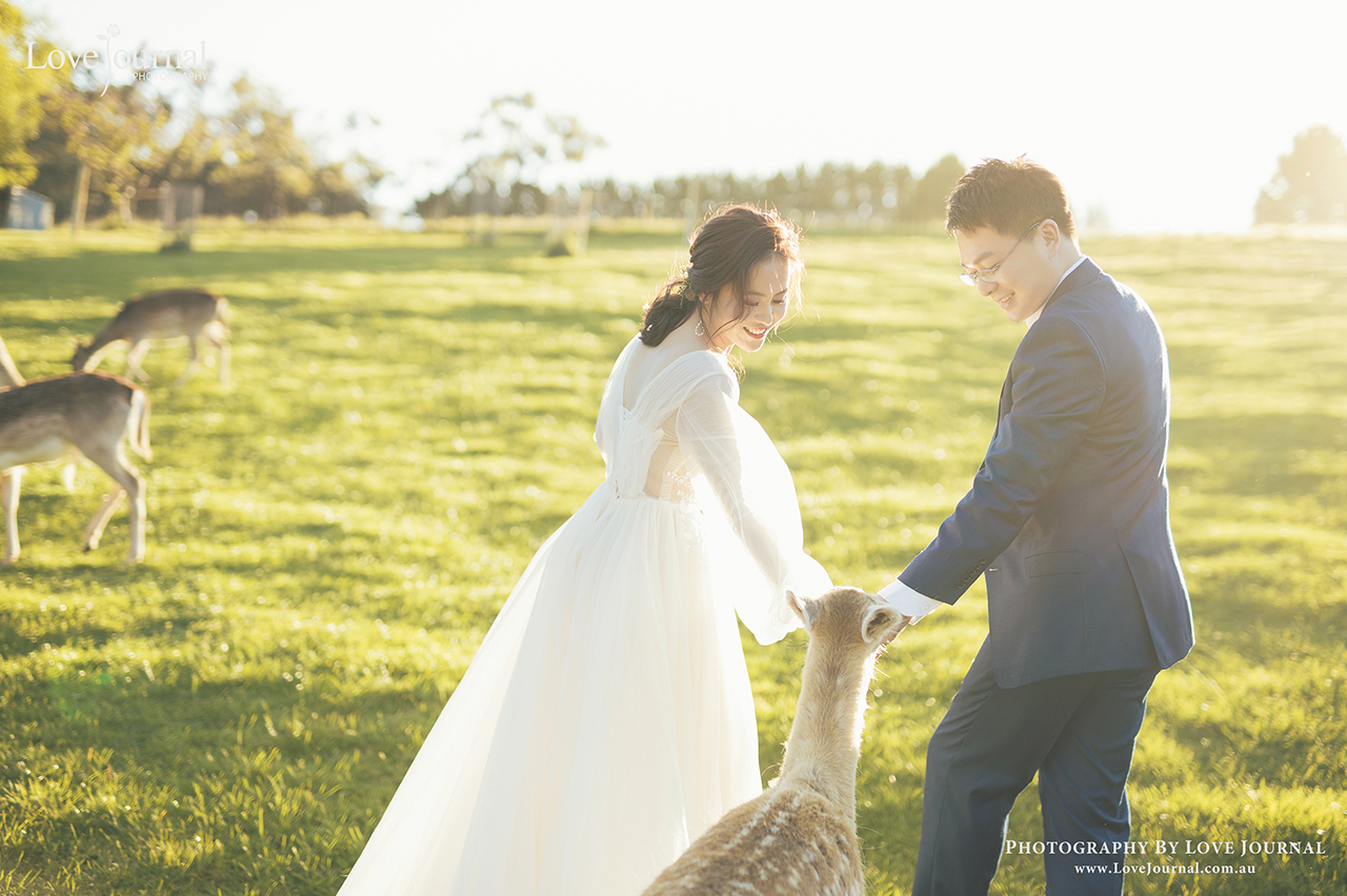 Gum-gully-farm-Deer-farm-pre-wedding-photography