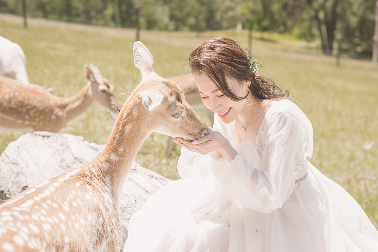 Gum-gully-farm-Deer-farm-pre-wedding-photography