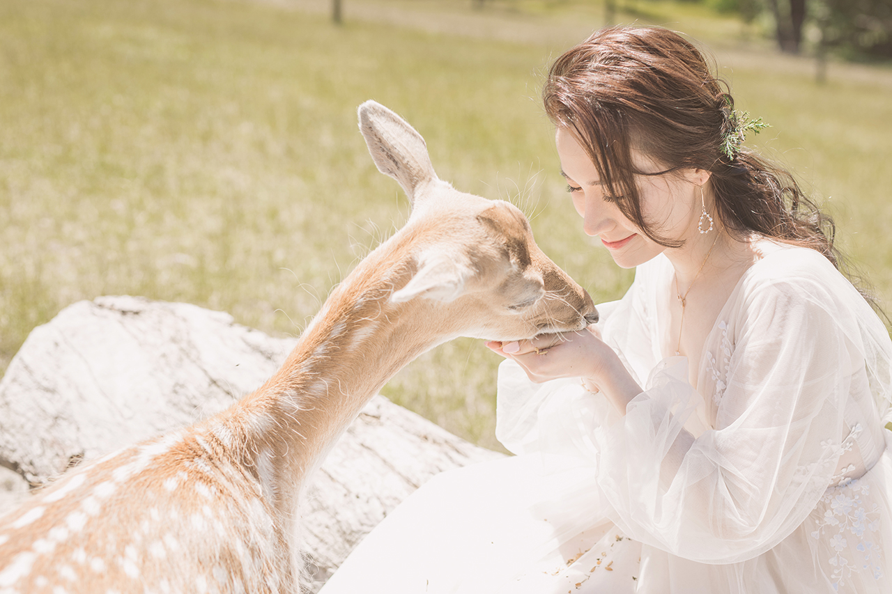Gum-gully-farm-Deer-farm-pre-wedding-photography