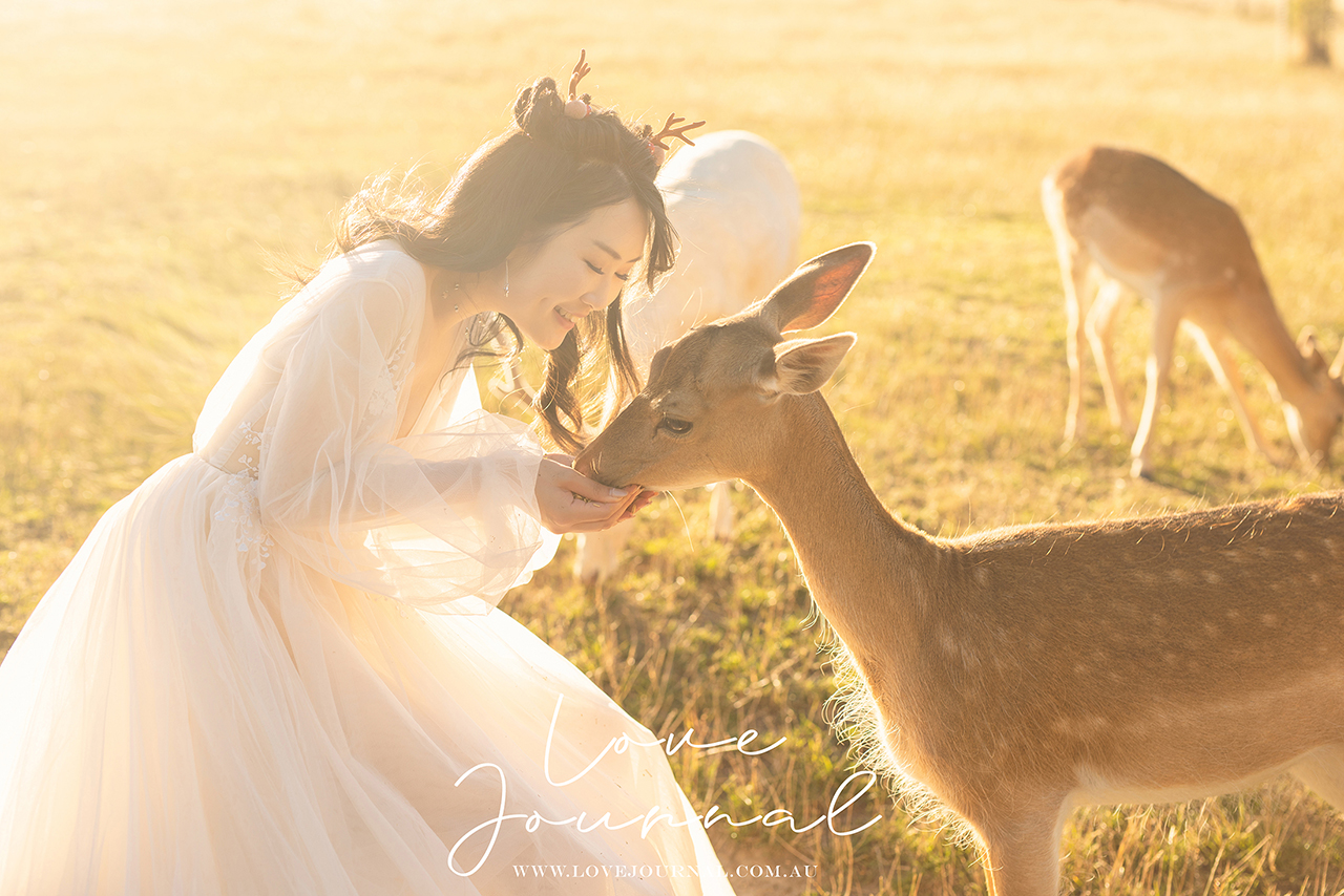 Gum-gully-farm-Deer-farm-pre-wedding-photography