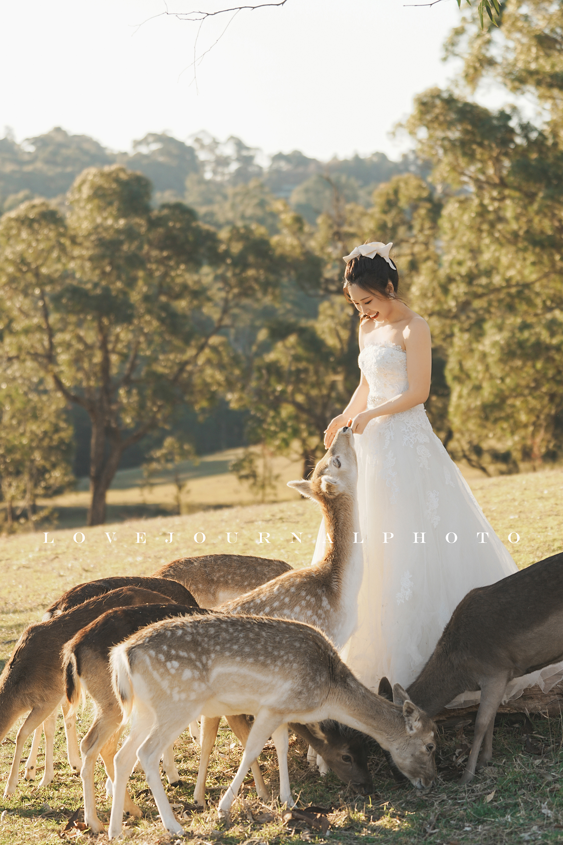 Gum-gully-farm-Deer-farm-pre-wedding-photography