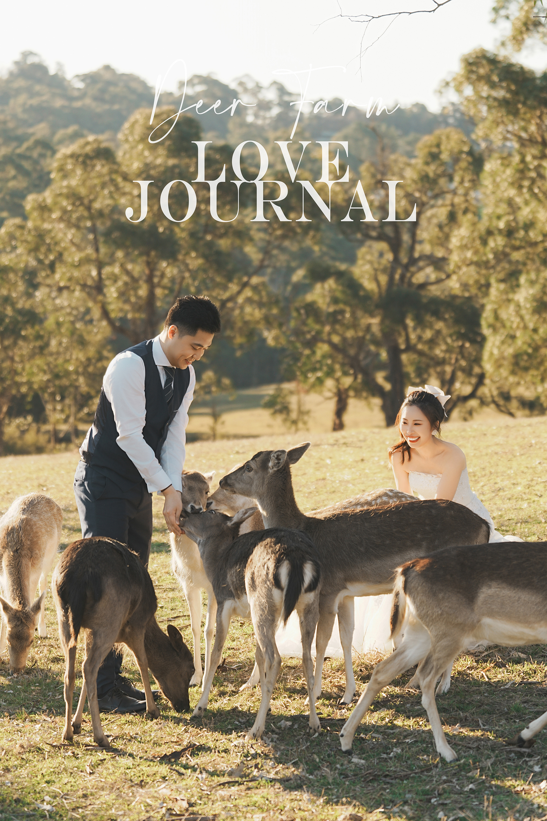 Gum-gully-farm-Deer-farm-pre-wedding-photography