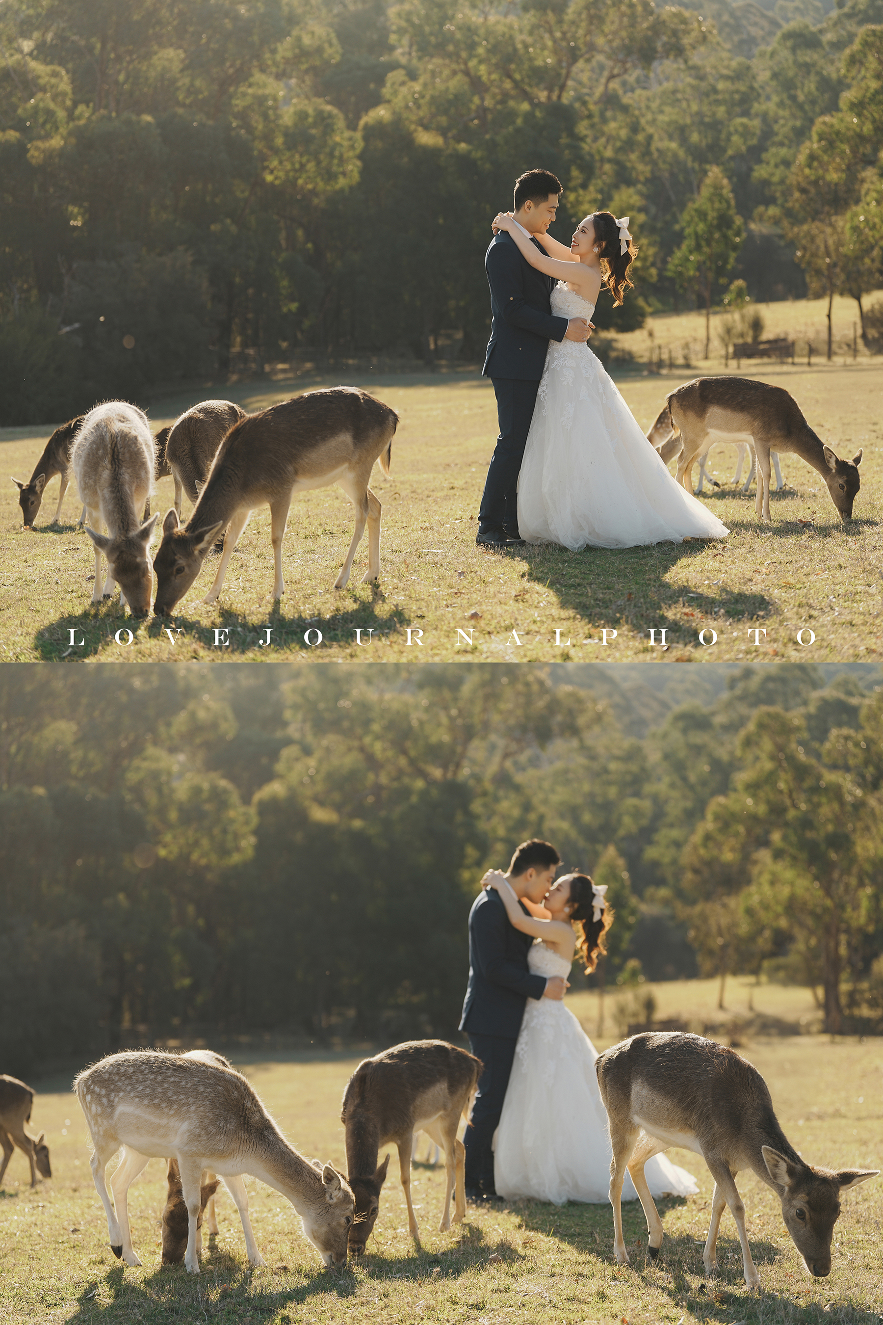 Gum-gully-farm-Deer-farm-pre-wedding-photography