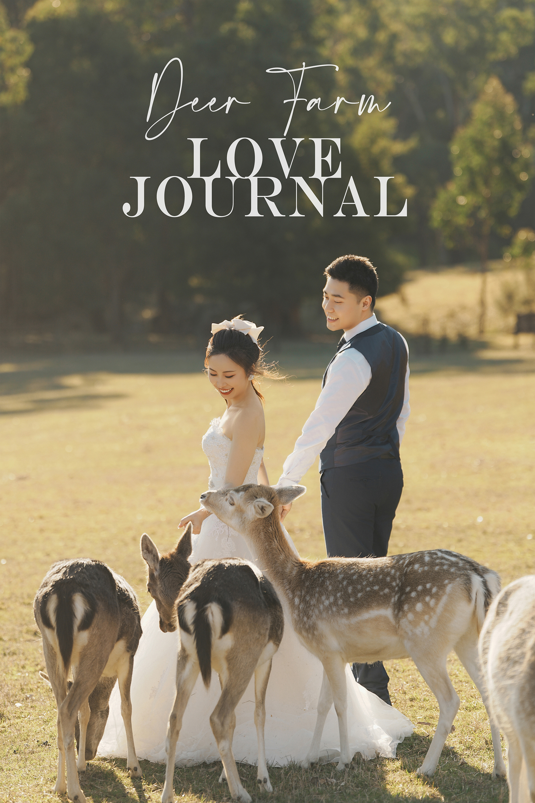 Gum-gully-farm-Deer-farm-pre-wedding-photography