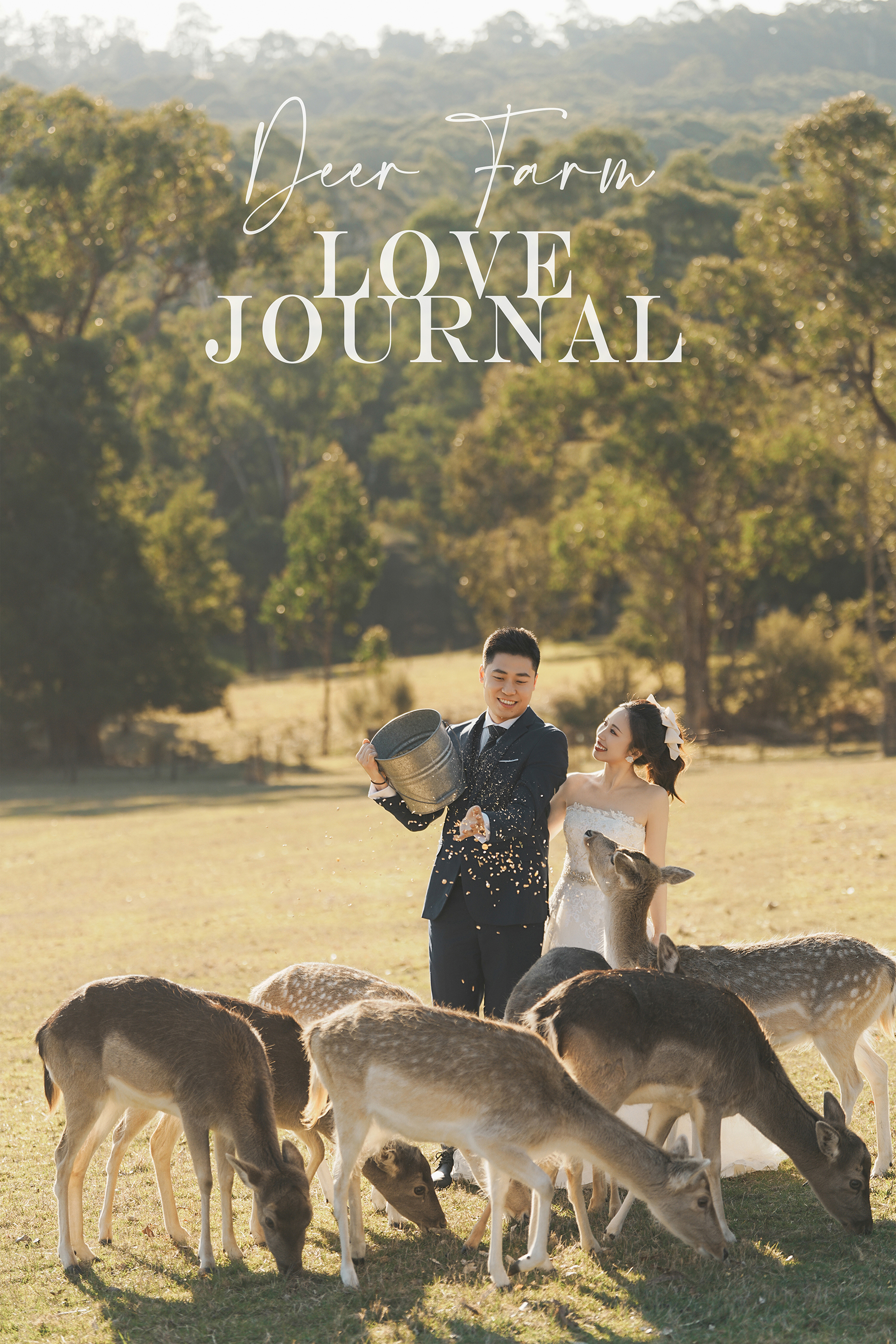 Gum-gully-farm-Deer-farm-pre-wedding-photography