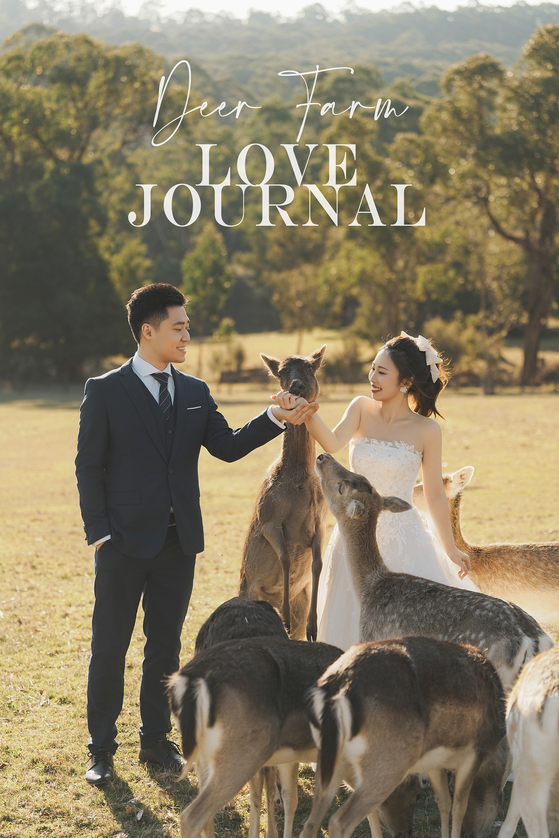 Gum-gully-farm-Deer-farm-pre-wedding-photography