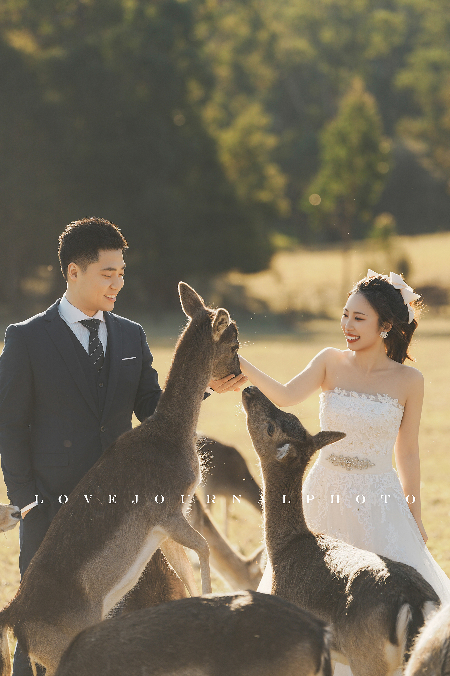 Gum-gully-farm-Deer-farm-pre-wedding-photography