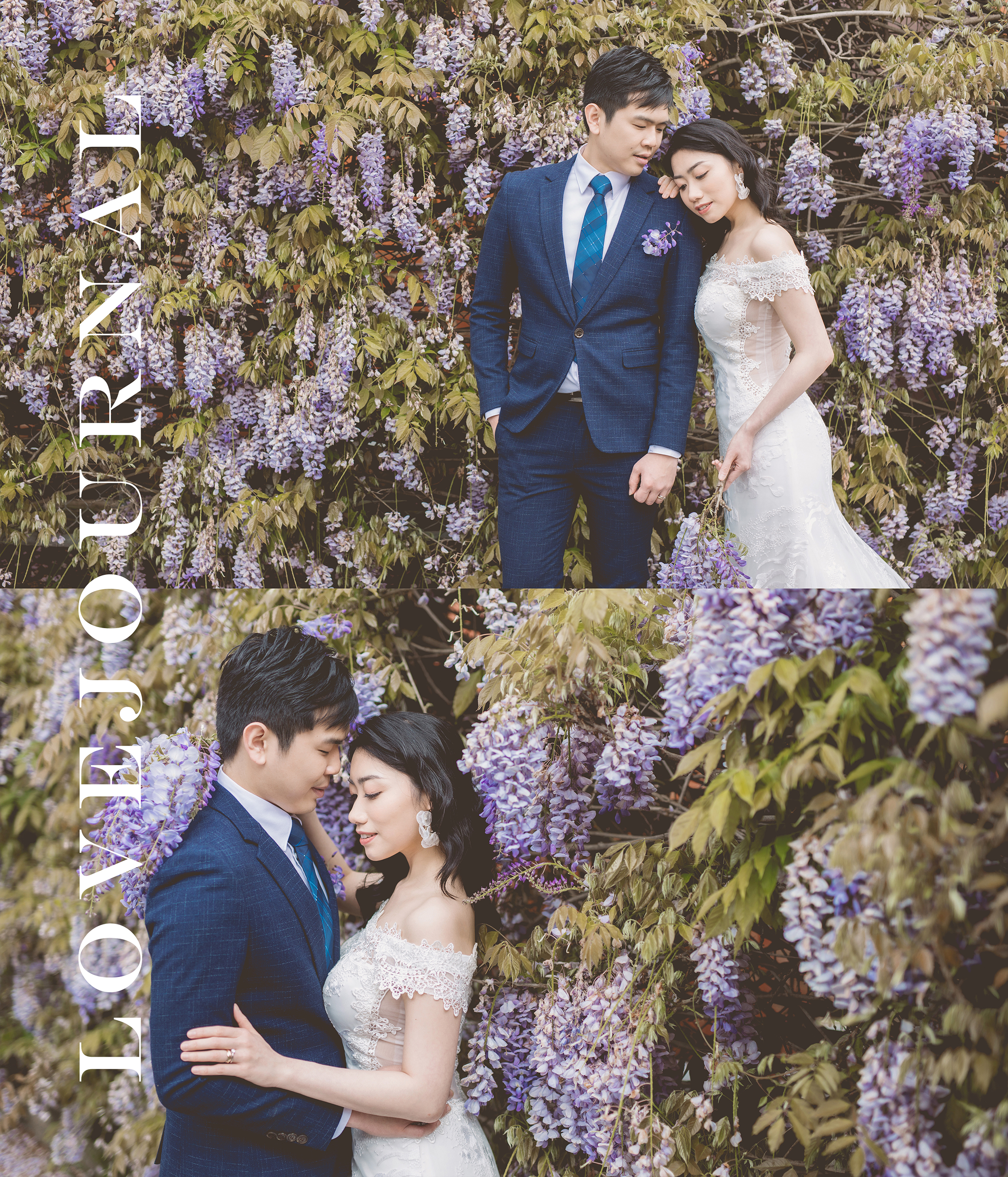 Wisteria Pre-wedding Photography