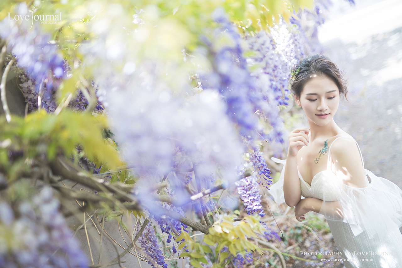 Wisteria Pre-wedding Photography