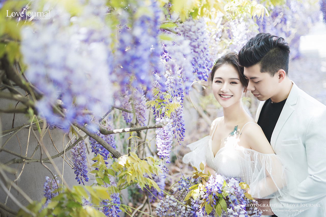 Wisteria Pre-wedding Photography