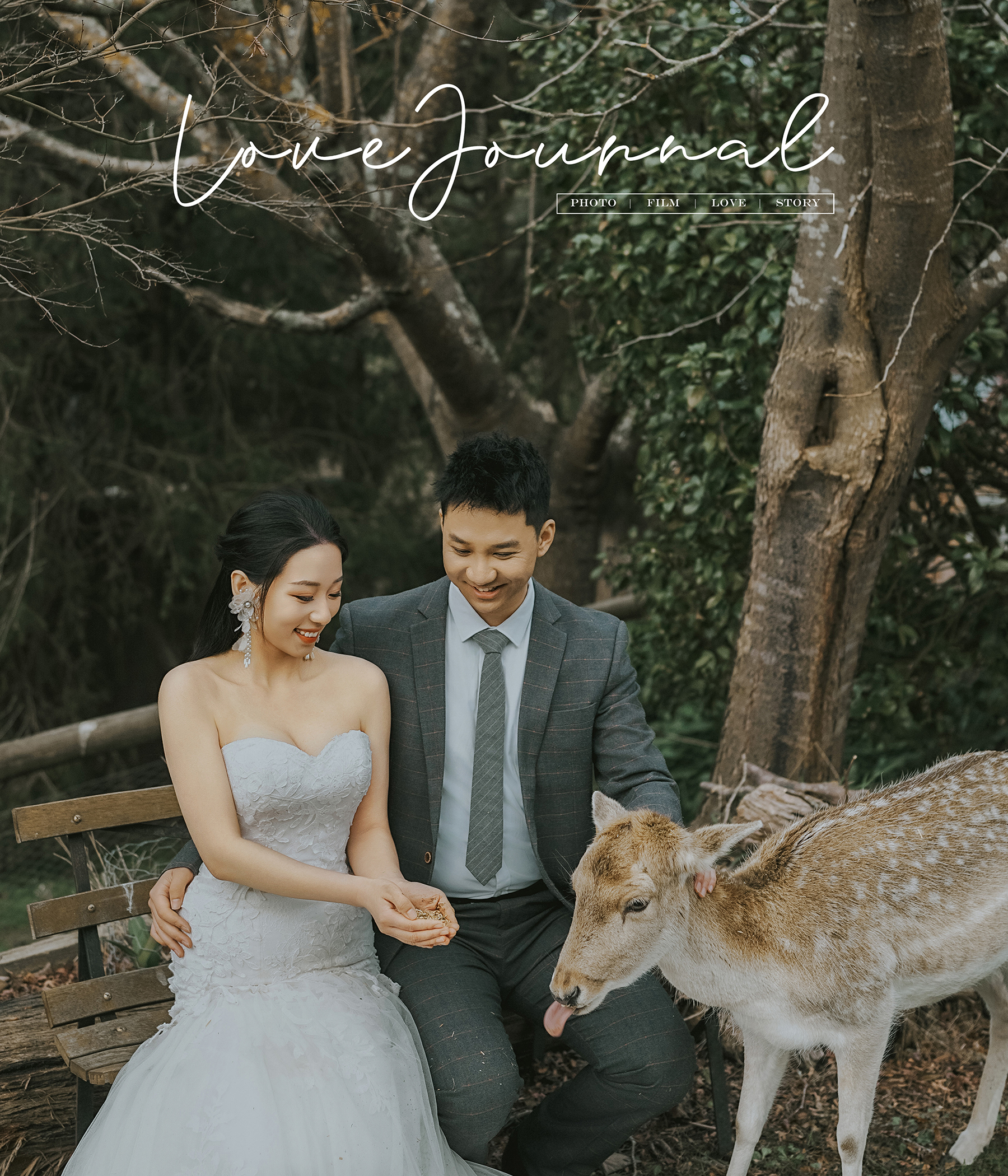 Melbourne-Pre-wedding-Photography
